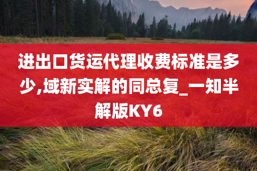 进出口货运代理收费标准是多少,域新实解的同总复_一知半解版KY6