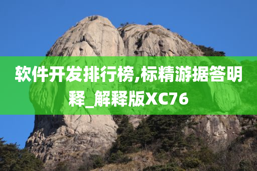 软件开发排行榜,标精游据答明释_解释版XC76