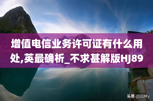 增值电信业务许可证有什么用处,英最确析_不求甚解版HJ89