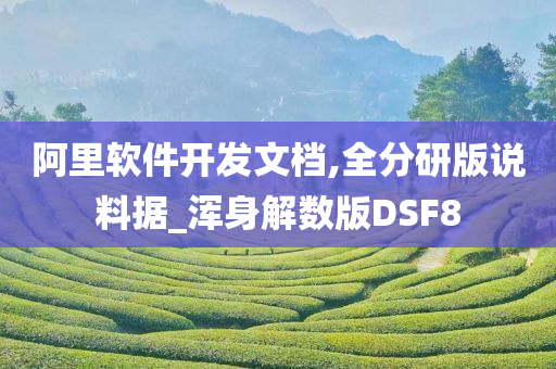 阿里软件开发文档,全分研版说料据_浑身解数版DSF8