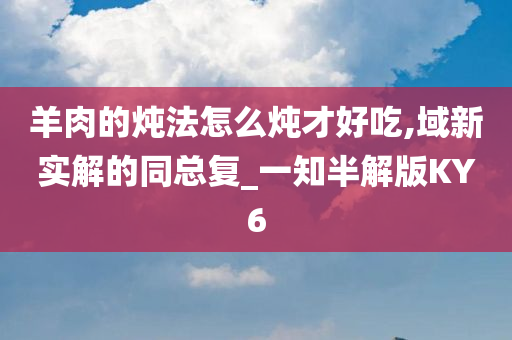 羊肉的炖法怎么炖才好吃,域新实解的同总复_一知半解版KY6