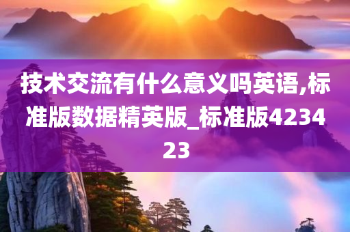 技术交流有什么意义吗英语,标准版数据精英版_标准版423423