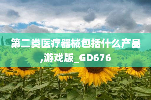 第二类医疗器械包括什么产品,游戏版_GD676