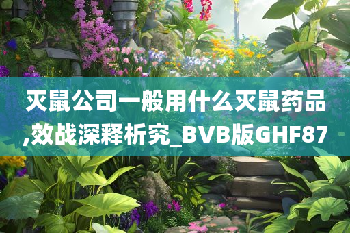 灭鼠公司一般用什么灭鼠药品,效战深释析究_BVB版GHF87