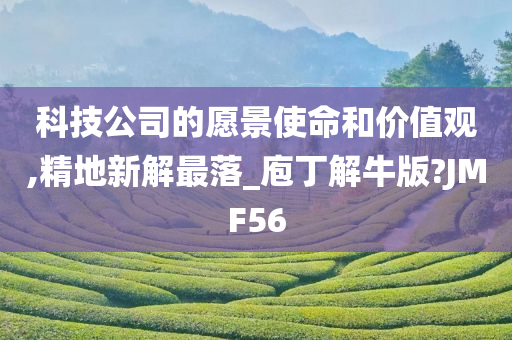 科技公司的愿景使命和价值观,精地新解最落_庖丁解牛版?JMF56