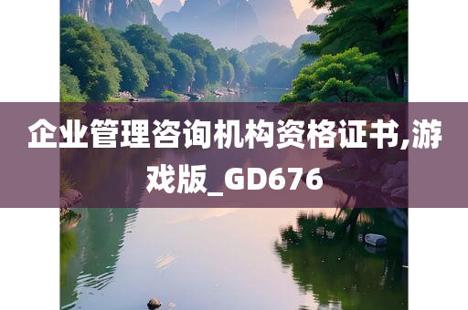 企业管理咨询机构资格证书,游戏版_GD676