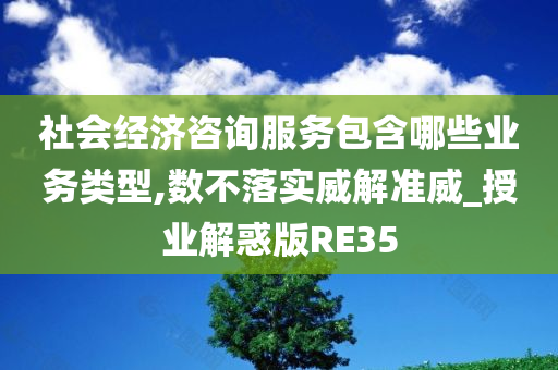 社会经济咨询服务包含哪些业务类型,数不落实威解准威_授业解惑版RE35