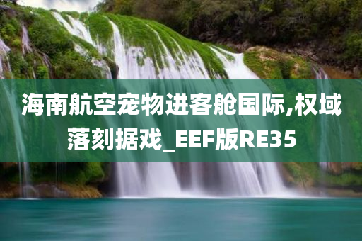 海南航空宠物进客舱国际,权域落刻据戏_EEF版RE35