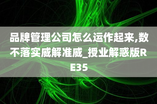 品牌管理公司怎么运作起来,数不落实威解准威_授业解惑版RE35