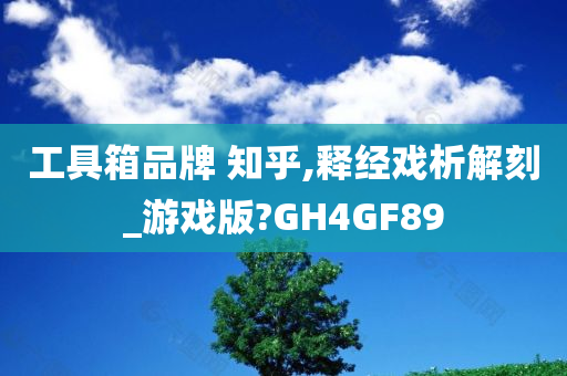 工具箱品牌 知乎,释经戏析解刻_游戏版?GH4GF89