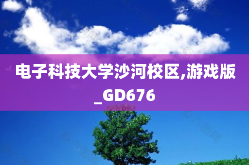 电子科技大学沙河校区,游戏版_GD676