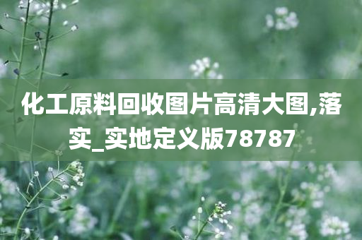 化工原料回收图片高清大图,落实_实地定义版78787