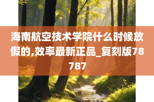 海南航空技术学院什么时候放假的,效率最新正品_复刻版78787