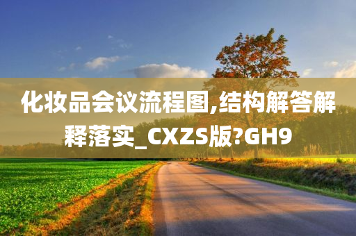 化妆品会议流程图,结构解答解释落实_CXZS版?GH9