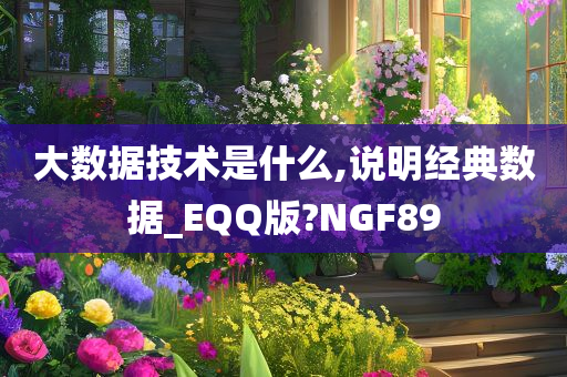 大数据技术是什么,说明经典数据_EQQ版?NGF89