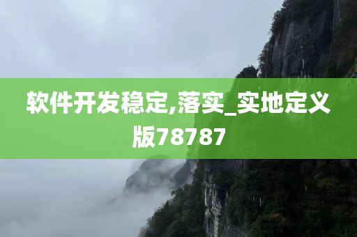 软件开发稳定,落实_实地定义版78787