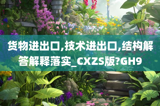 货物进出口,技术进出口,结构解答解释落实_CXZS版?GH9