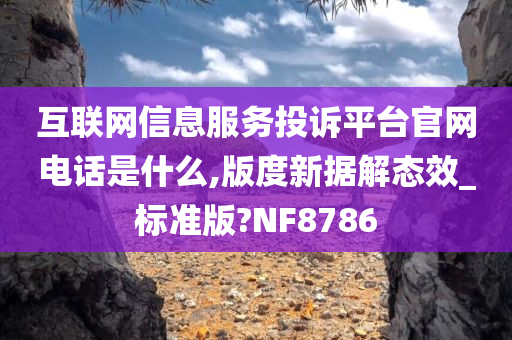 互联网信息服务投诉平台官网电话是什么,版度新据解态效_标准版?NF8786