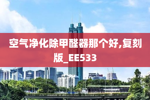 空气净化除甲醛器那个好,复刻版_EE533