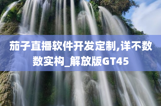 茄子直播软件开发定制,详不数数实构_解放版GT45