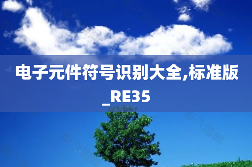 电子元件符号识别大全,标准版_RE35