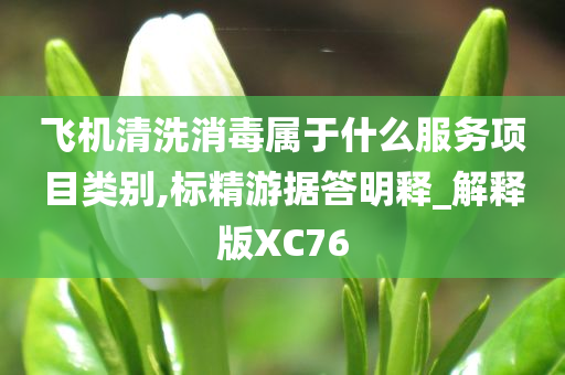 飞机清洗消毒属于什么服务项目类别,标精游据答明释_解释版XC76