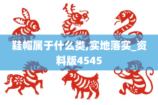 鞋帽属于什么类,实地落实_资料版4545