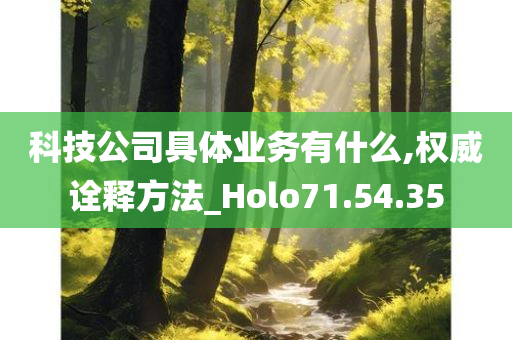 科技公司具体业务有什么,权威诠释方法_Holo71.54.35