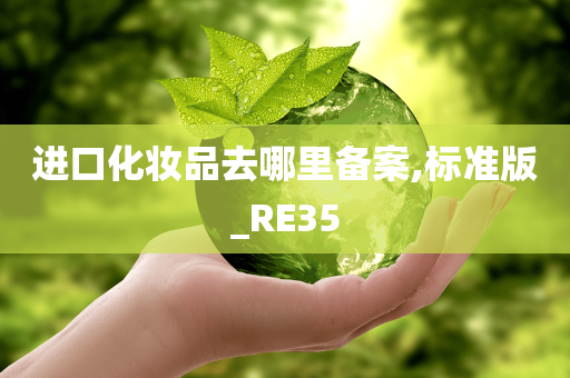 进口化妆品去哪里备案,标准版_RE35