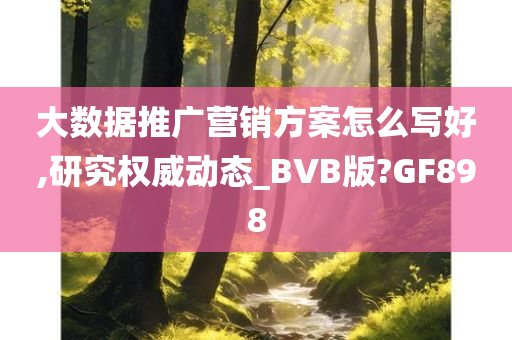 大数据推广营销方案怎么写好,研究权威动态_BVB版?GF898