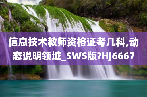 信息技术教师资格证考几科,动态说明领域_SWS版?HJ6667