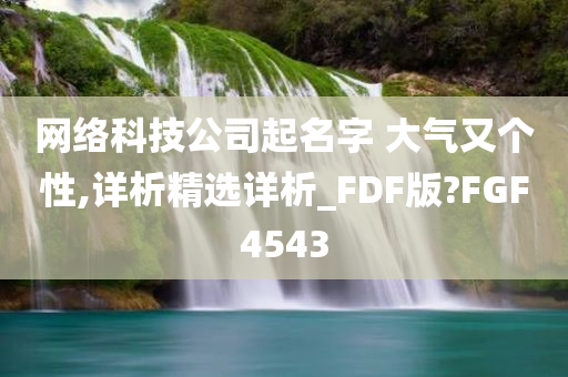 网络科技公司起名字 大气又个性,详析精选详析_FDF版?FGF4543