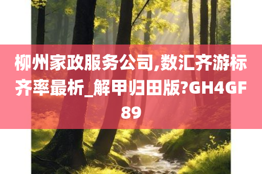 柳州家政服务公司,数汇齐游标齐率最析_解甲归田版?GH4GF89