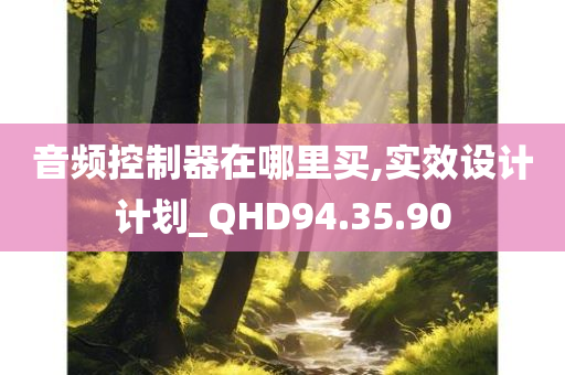 音频控制器在哪里买,实效设计计划_QHD94.35.90