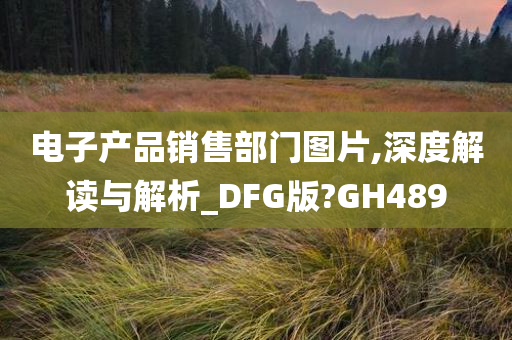 电子产品销售部门图片,深度解读与解析_DFG版?GH489