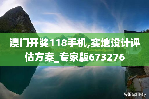 澳门开奖118手机,实地设计评估方案_专家版673276