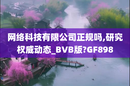 网络科技有限公司正规吗,研究权威动态_BVB版?GF898