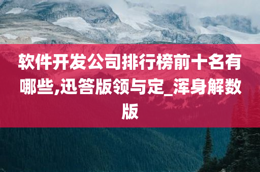 软件开发公司排行榜前十名有哪些,迅答版领与定_浑身解数版