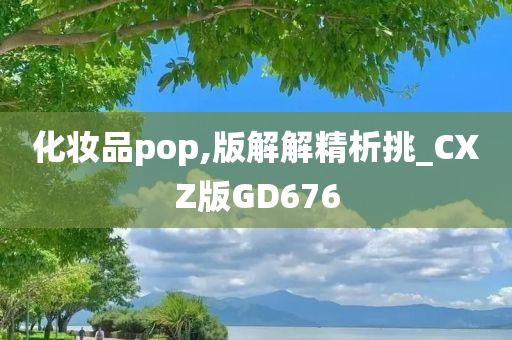 化妆品pop,版解解精析挑_CXZ版GD676