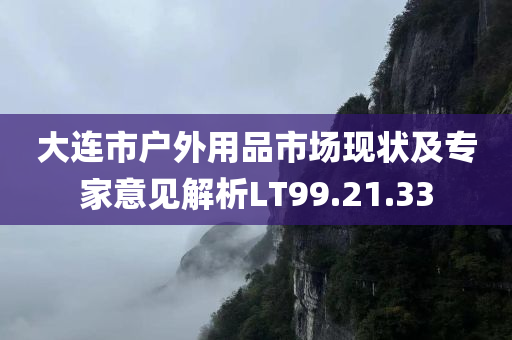 大连市户外用品市场现状及专家意见解析LT99.21.33