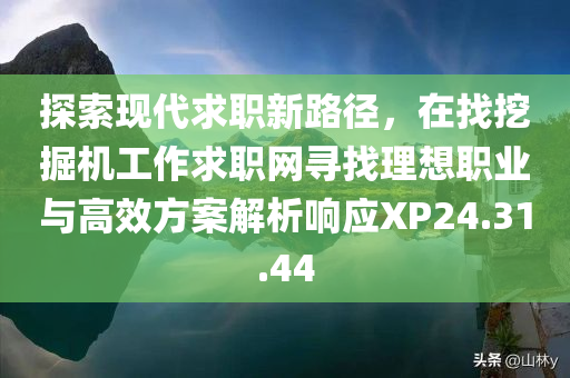 探索现代求职新路径，在找挖掘机工作求职网寻找理想职业与高效方案解析响应XP24.31.44