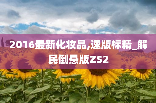 2016最新化妆品,速版标精_解民倒悬版ZS2