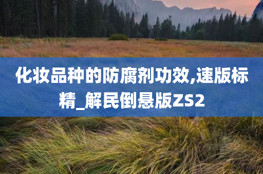 化妆品种的防腐剂功效,速版标精_解民倒悬版ZS2