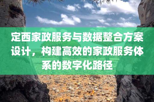 定西家政服务与数据整合方案设计，构建高效的家政服务体系的数字化路径