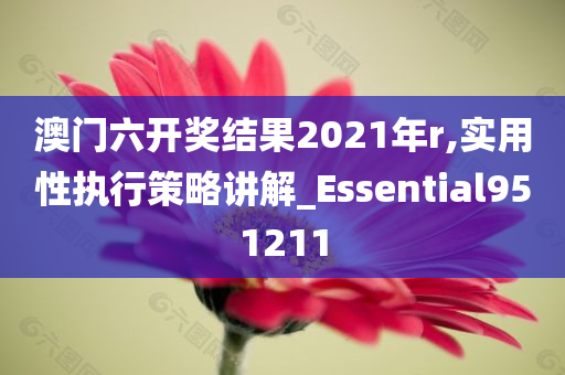 澳门六开奖结果2021年r,实用性执行策略讲解_Essential951211