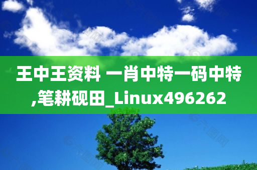 王中王资料 一肖中特一码中特,笔耕砚田_Linux496262