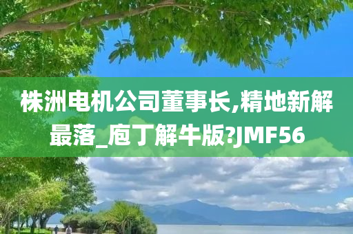 株洲电机公司董事长,精地新解最落_庖丁解牛版?JMF56