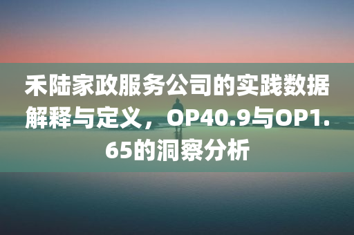 禾陆家政服务公司的实践数据解释与定义，OP40.9与OP1.65的洞察分析