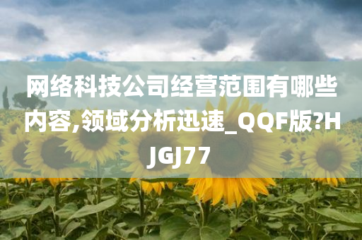 网络科技公司经营范围有哪些内容,领域分析迅速_QQF版?HJGJ77