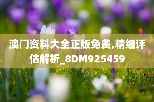 澳门资料大全正版免费,精细评估解析_8DM925459